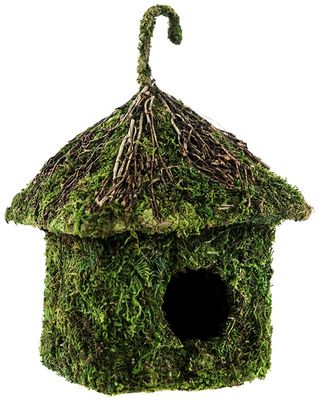 GAL SHACK HOUSE