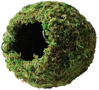 MOSS HIDES