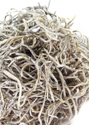 GAL SPANISH MOSS 150 CU IN