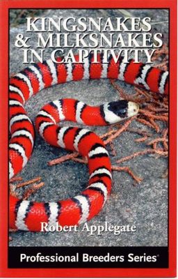 ECO KINGSNAKES AND MILKSNAKES IN CAPTIVITY