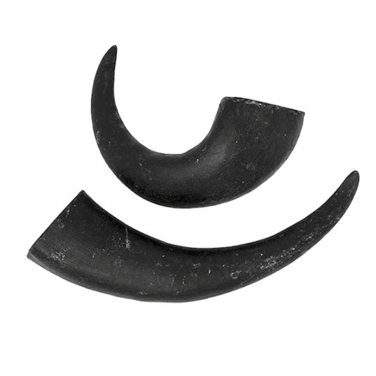 PKP WATER BUFFALO HORN SMALL