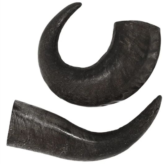 PKP WATER BUFFALO HORN LARGE