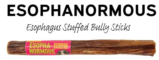 ETTA SAYS ESOPHANORMOUS BULLY CHEW 10 INCH