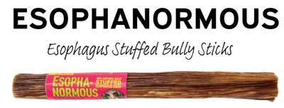 ETTA SAYS ESOPHANORMOUS BULLY CHEW 10 INCH