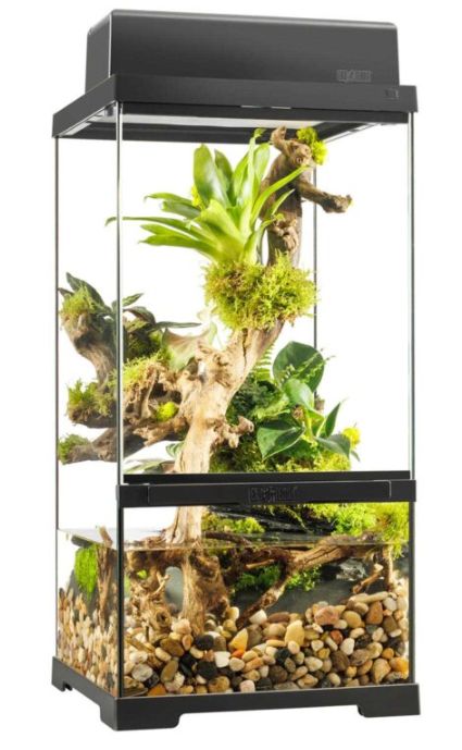 EXO TERRA PRO PALUDARIUM 12X12X24 EXTRA SMALL EXTRA TALL