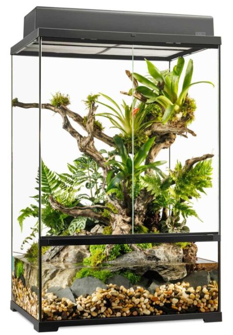 EXO TERRA PRO PALUDARIUM 24X18X36 MEDIUM EXTRA TALL