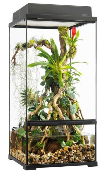 EXO TERRA PRO PALUDARIUM 18X18X36 SMALL EXTRA TALL
