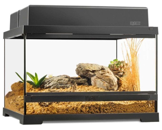 EXO TERRA PRO TERRARIUM 18X18X12 SMALL LOW