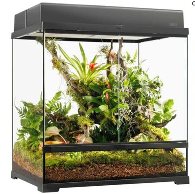 EXO TERRA PRO TERRARIUM 24X18X24 MEDIUM TALL