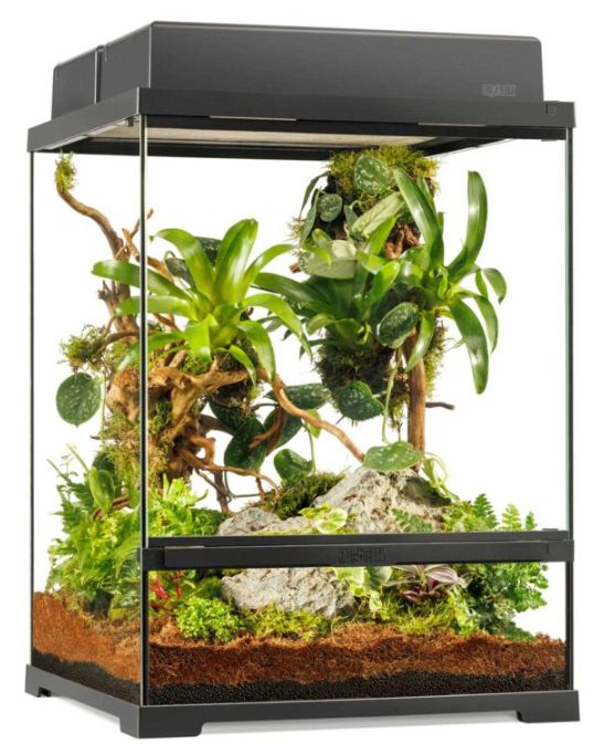 EXO TERRA PRO TERRARIUM 18X18X24 SMALL TALL