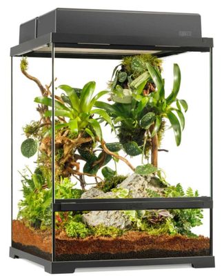 EXO TERRA PRO TERRARIUM 18X18X24 SMALL TALL