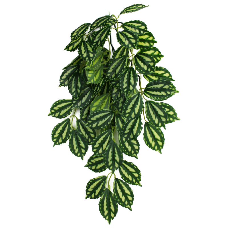 KOMODO PLANT TWO TONE LEAF LG