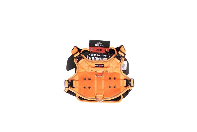 BD HARNESS HUNTER ORANGE LG