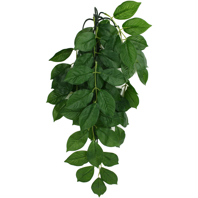 KOMODO PLANT GREEN LEAF SM