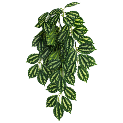 KOMODO PLANT TWO TONE LEAF SM