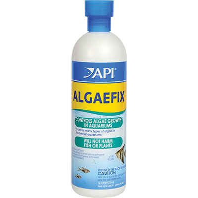 API ALGAEFIX 16 OZ