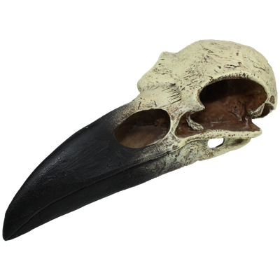 KOMODO RAVEN SKULL LG