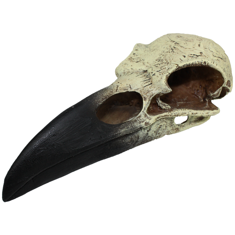 KOMODO RAVEN SKULL LG