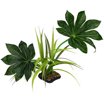 KOMODO JUNGLE CANOPY