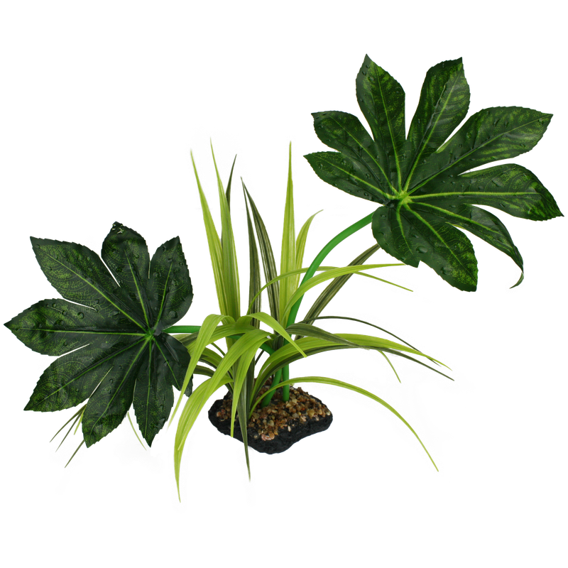 KOMODO JUNGLE CANOPY