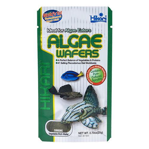HIK TROP ALGAE WAFERS 20 GM