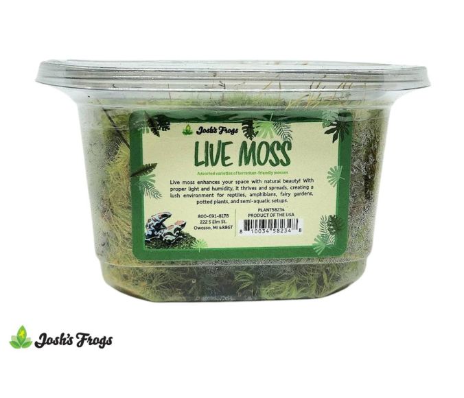 JF LIVE MOSS ASSORTED SMALL