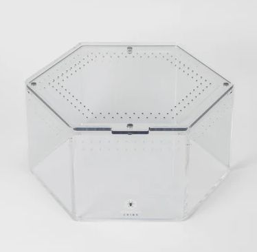 TC TERRESTRIAL HEX LARGE