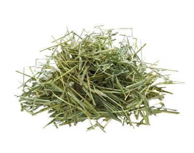 KOMODO TORTOISE HAY 24 OZ