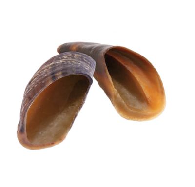 SUPERCAN COW HOOVES