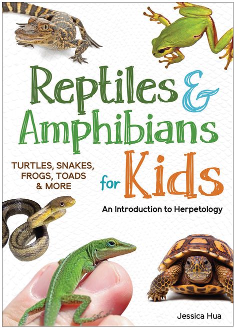 REPTILES AND AMPHIBIANS FOR KIDS