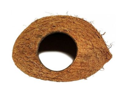 LUG COCOHUT WITH FIBER
