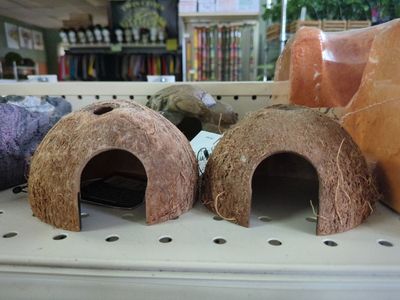 LUG COCOHUT WITH FIBER