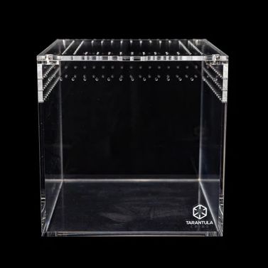TC 8" TARANTULA CUBE