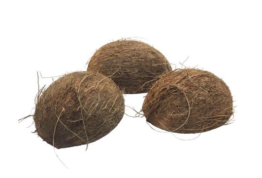 LUG COCONUT SHELL HALF WITH FIBER