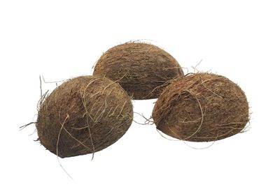 LUG COCONUT SHELL HALF WITH FIBER