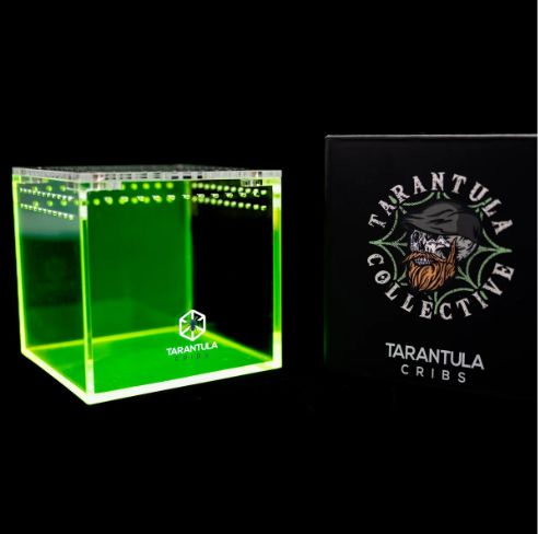 TC TARANTULA COLLECTIVE 3" CUBE (ORIGINAL)