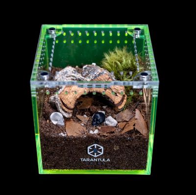 TC TARANTULA COLLECTIVE 3" CUBE (ORIGINAL)