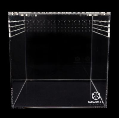 TC 12" TARANTULA CUBE