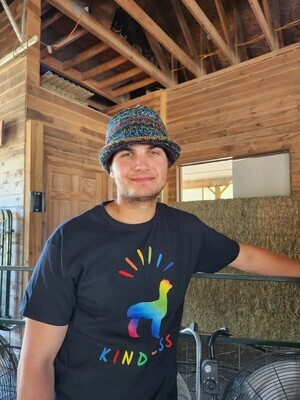 Hipster Brooklyn Alpaca Hat