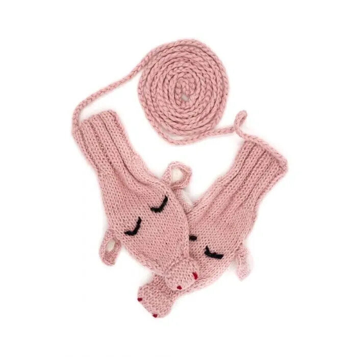 Piggy Mitten