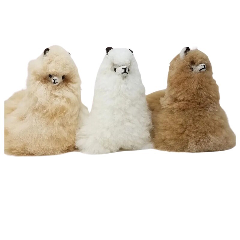Cushed Alpaca 10