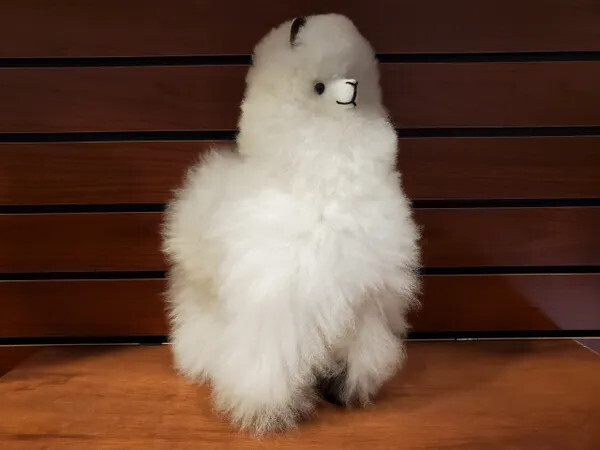 Standing Alpaca 12 Inch