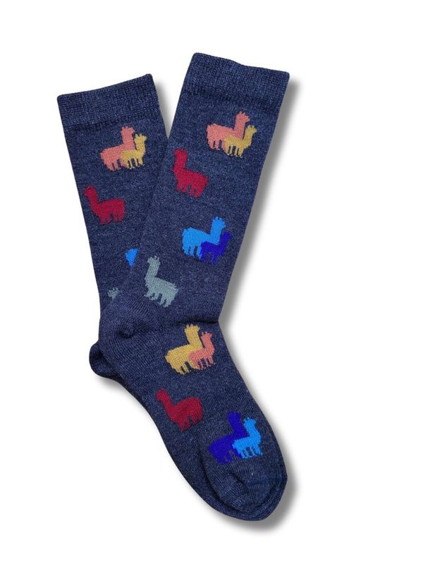 Kid&#39;s Rainbow Herd Socks