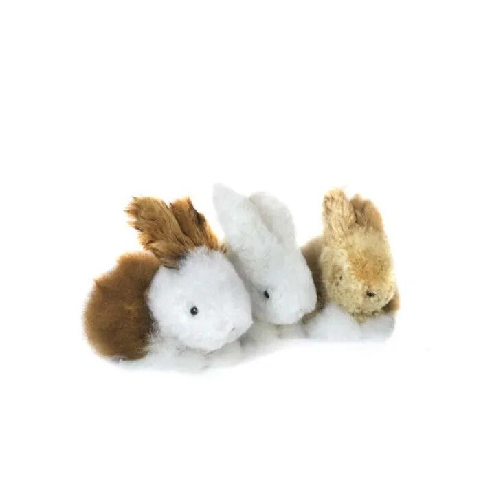 Baby Bunny