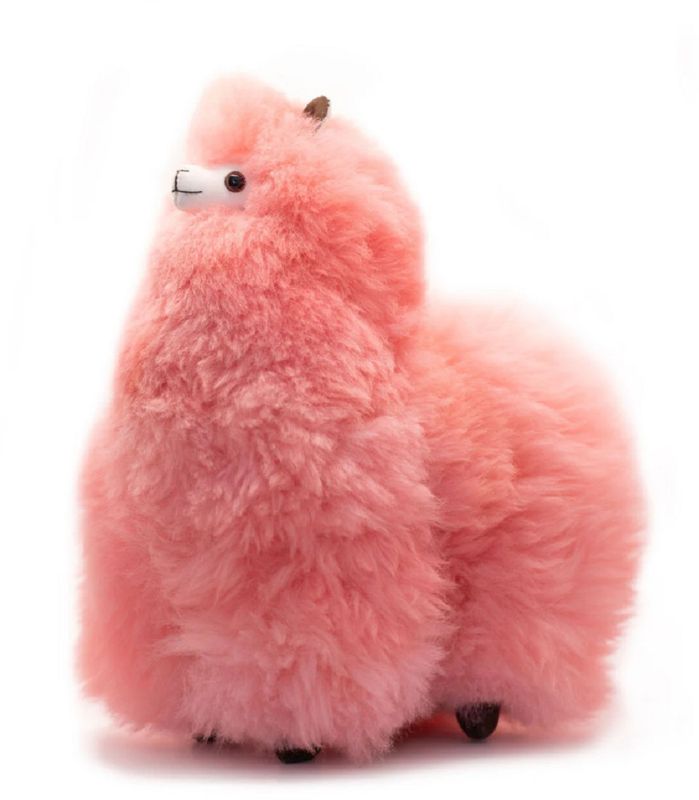 Standing Parfait Alpacas