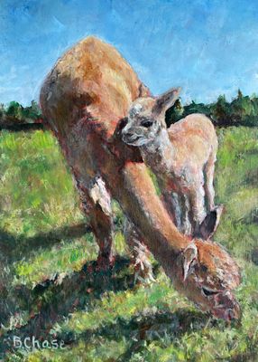 Greeting Card  Barbara Chase