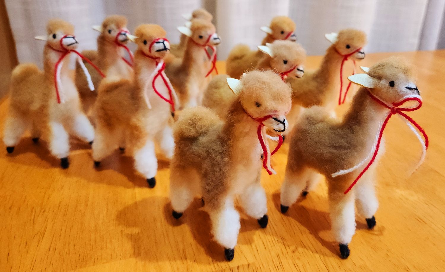 Vicuna Standing