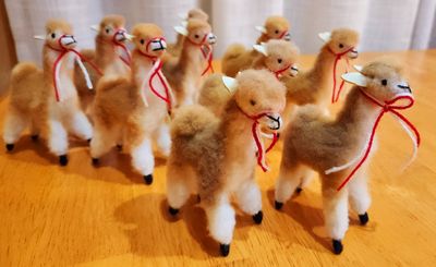 Vicuna Standing