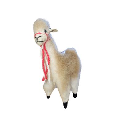 Vicuna Standing