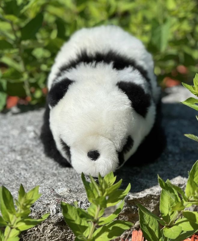 Walking Panda Bear